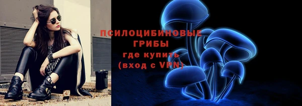 героин Богданович