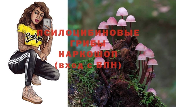 героин Богданович