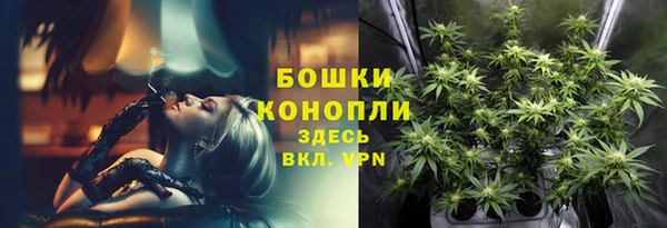 spice Верхний Тагил