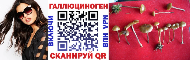 Галлюциногенные грибы Psilocybine cubensis  МЕГА маркетплейс  Верхняя Тура 